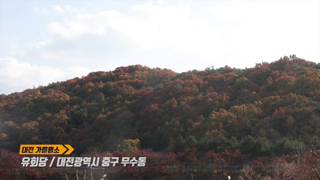 대전가을명소 - 유회당