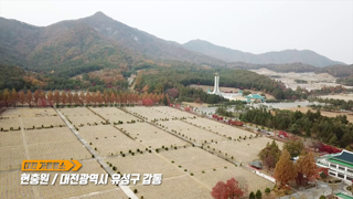 대전가을명소 - 현충원