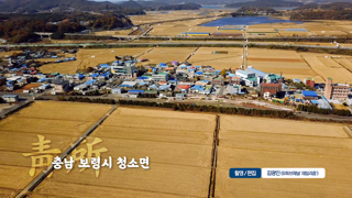 충남 보령시 청소역
